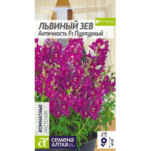 Антирринум (львиный зев) Античность Пурпурный F1 Семена Алтая изображение 1 артикул 94105