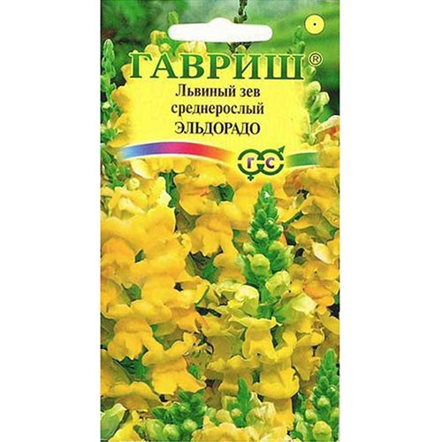 Антирринум (львиный зев) Эльдорадо Гавриш изображение 1 артикул 91907