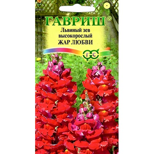Антирринум (львиный зев) Жар любви Гавриш изображение 1 артикул 91899