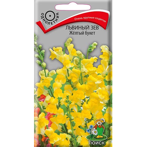 Антирринум (львиный зев) Желтый букет Поиск изображение 1 артикул 92858