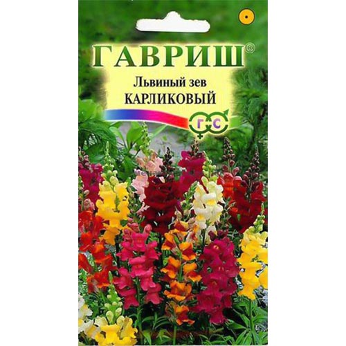 Антирринум (львиный зев) Карликовый, смесь окрасок Гавриш изображение 1 артикул 91902