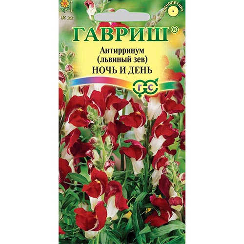 Антирринум (львиный зев) Ночь и день Гавриш изображение 1 артикул 91903
