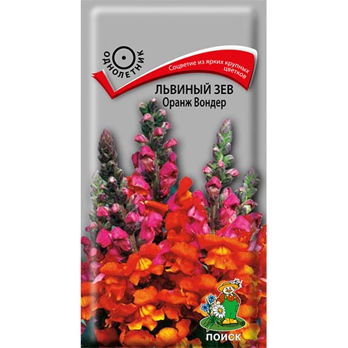 Антирринум (львиный зев) Оранж Вондер Поиск изображение 1 артикул 92859