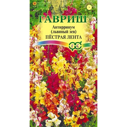 Антирринум (львиный зев) Пестрая лента, смесь окрасок Гавриш изображение 1 артикул 91904
