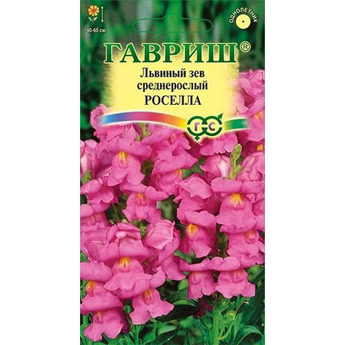 Антирринум (львиный зев) Роселла Гавриш изображение 1 артикул 91905