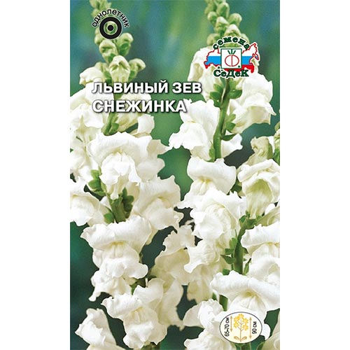 Антирринум (львиный зев) Снежинка Седек изображение 1 артикул 93641