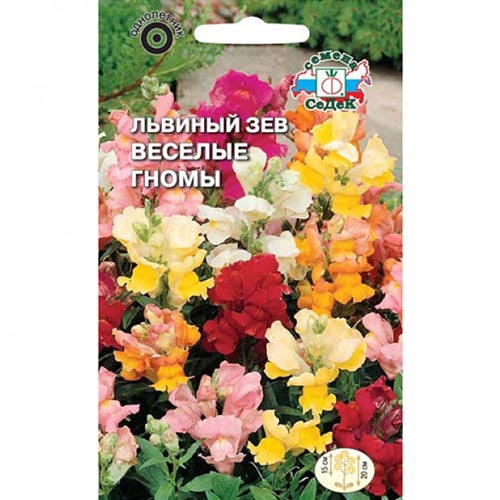 Антирринум (львиный зев) Веселые гномы, смесь окрасок Седек изображение 1 артикул 93638