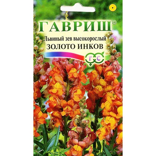 Антирринум (львиный зев) Золото инков Гавриш изображение 1 артикул 91900