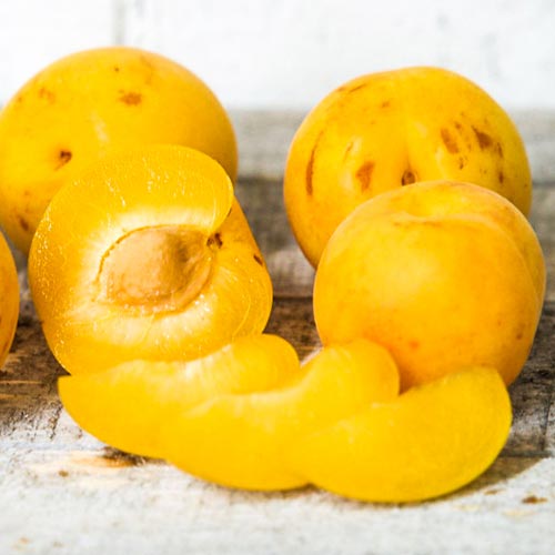 Априум (слива-абрикос) изображение 1 артикул 7042