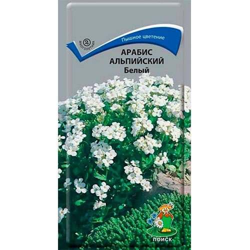 Арабис альпийский Белый Поиск изображение 1 артикул 92861
