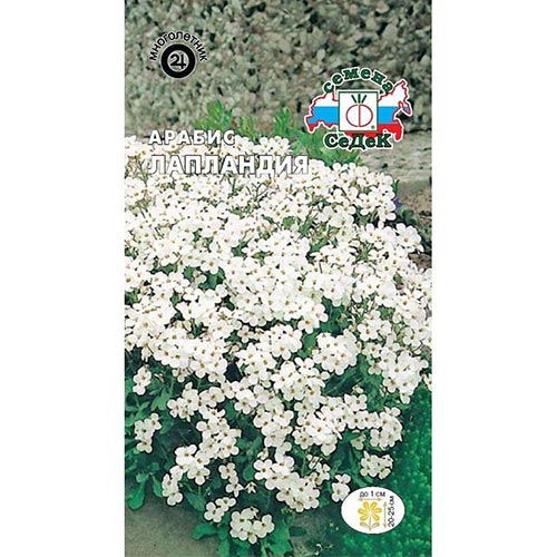 Арабис альпийский Лапландия Седек изображение 1 артикул 93644