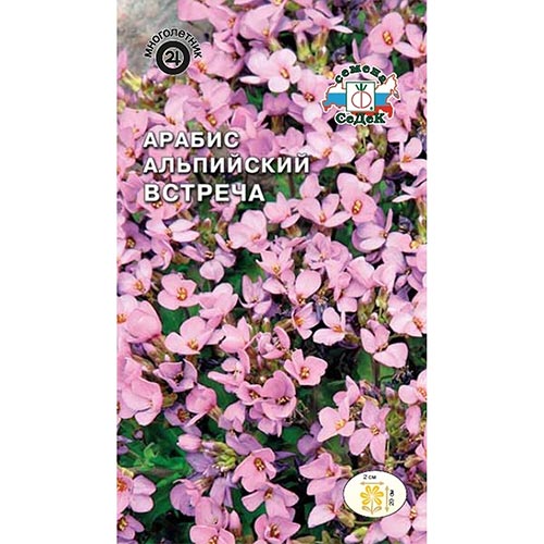 Арабис альпийский Встреча Седек изображение 1 артикул 93643
