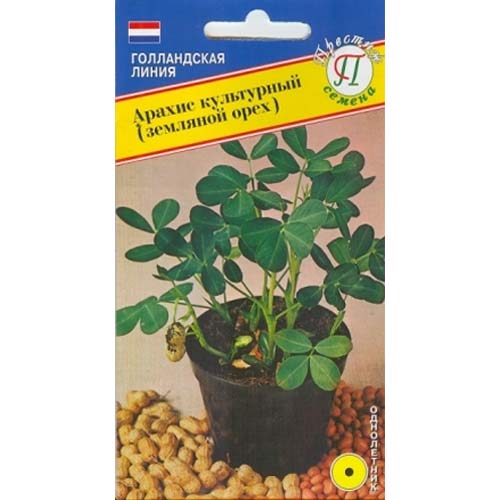 Арахис (земляной орех) культурный Престиж изображение 1 артикул 65785