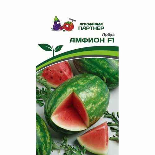 Арбуз Амфион F1 Партнер изображение 1 артикул 88040