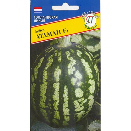 Арбуз Атаман F1 Престиж артикул фото 1 Арбуз Атаман F1 Престиж изображение 1 артикул 81079