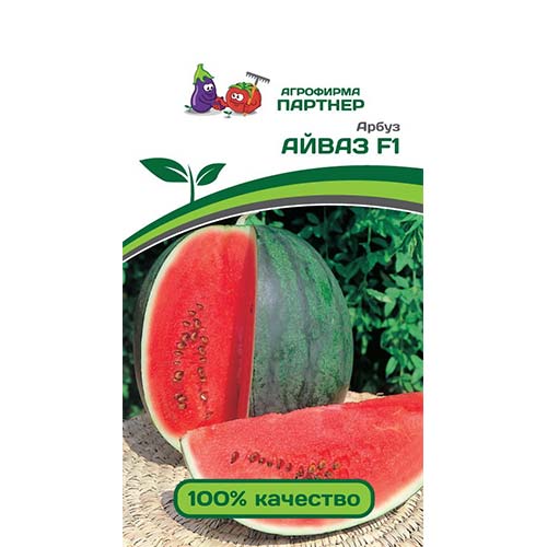 Арбуз Айваз F1 Партнер изображение 1 артикул 73546