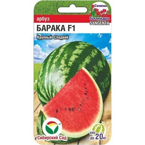 Арбуз Барака F1 Сибирский сад изображение 1 артикул 94304