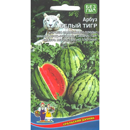 Арбуз Белый тигр Уральский дачник изображение 1 артикул 94432