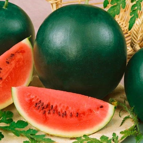 Арбуз Экспресс F1, семена изображение 1 артикул 65920
