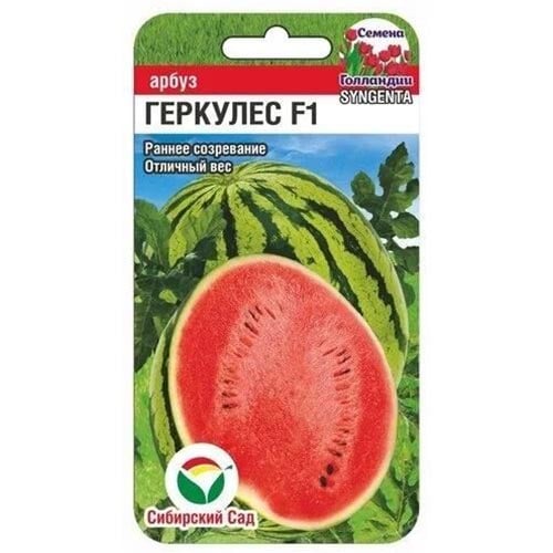 Арбуз Геркулес F1 Сибирский сад изображение 1 артикул 94307