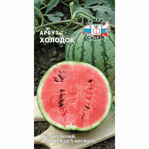 Арбуз Холодок Седек изображение 1 артикул 71609