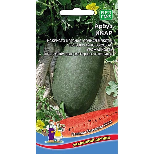 Арбуз Икар Уральский дачник изображение 1 артикул 94434