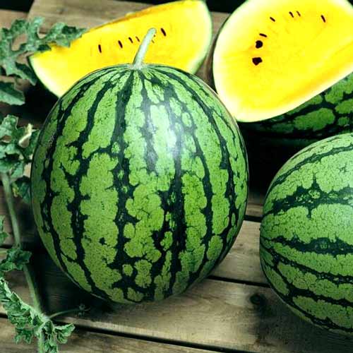 Арбуз Лунный, семена изображение 1 артикул 65002