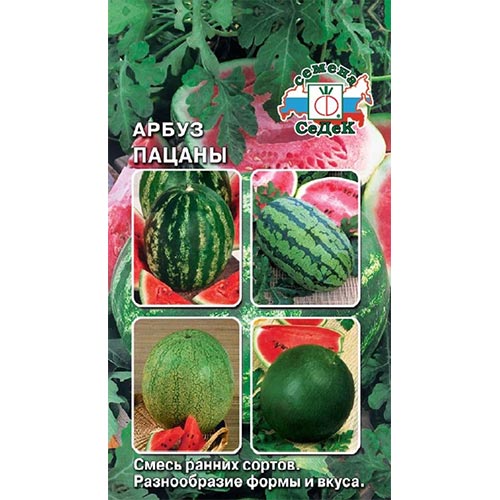 Арбуз Пацаны, смесь сортов Седек изображение 1 артикул 93255