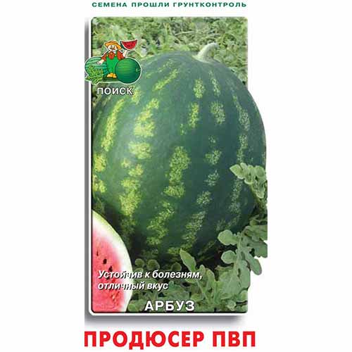 Арбуз Продюсер Поиск изображение 1 артикул 81835