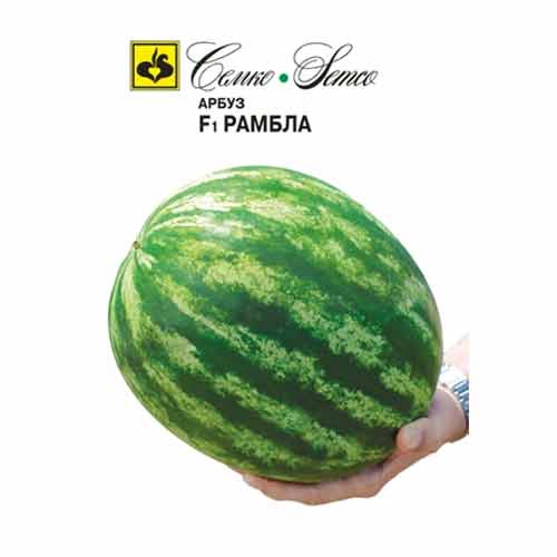 Арбуз Рамбла F1 Семко изображение 1 артикул 94228