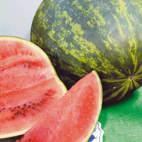 Арбуз Розовое шампанское F1 Русский огород НК изображение 1 артикул 69855