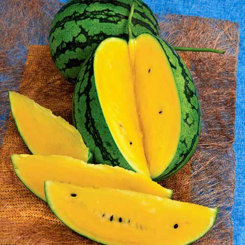 Арбуз Сюрприз, семена изображение 1 артикул 65003