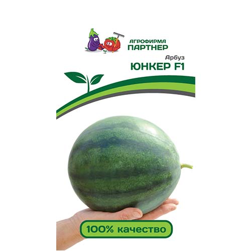 Арбуз Юнкер F1 Партнер артикул фото 1 Арбуз Юнкер F1 Партнер изображение 1 артикул 81001