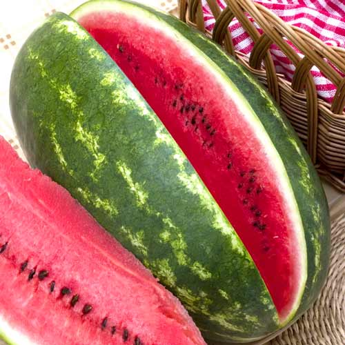 Арбуз Юбилей F1, семена изображение 1 артикул 65320