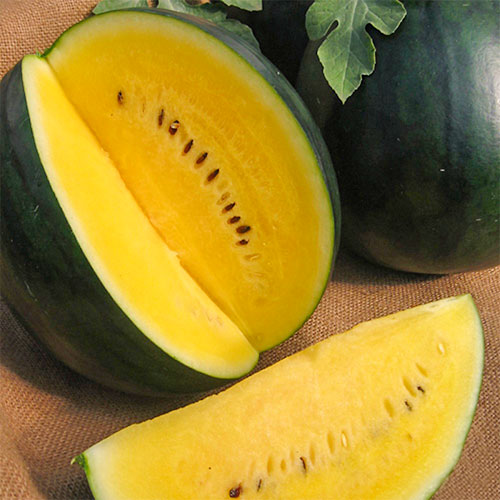 Арбуз Золотой малыш Premium Seeds изображение 1 артикул 83724