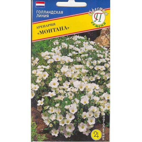 Аренария Монтана Престиж изображение 1 артикул 84424