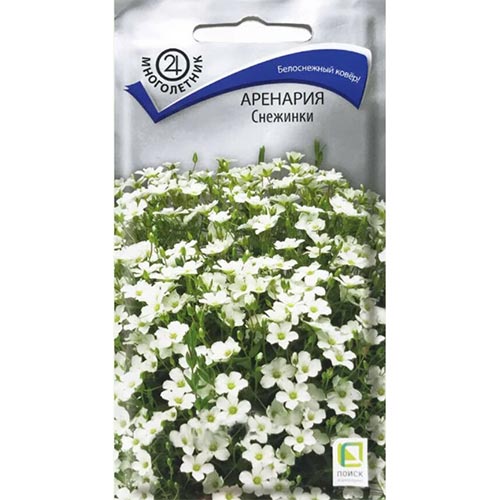 Аренария Снежинки Поиск изображение 1 артикул 92863