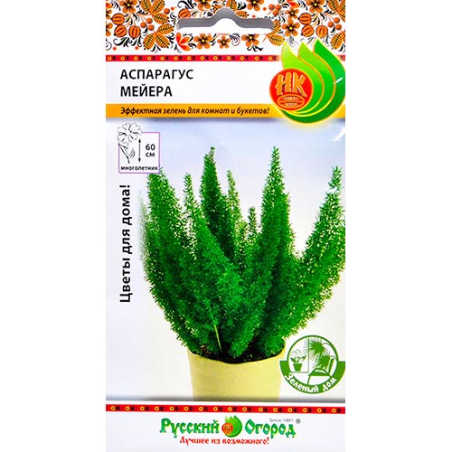 Аспарагус Мейера НК изображение 1 артикул 92419