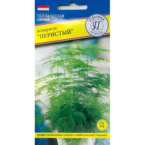 Аспарагус перестый Престиж изображение 1 артикул 93207