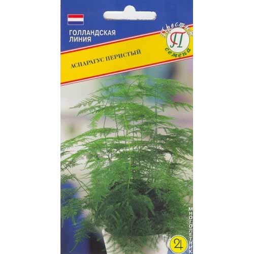 Аспарагус перистый Престиж артикул фото 1 Аспарагус перистый Престиж изображение 1 артикул 65786