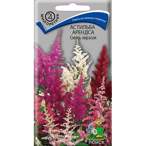 Астильба Арендса, смесь окрасок Поиск изображение 1 артикул 92864
