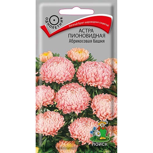 Астра Абрикосовая башня Поиск изображение 1 артикул 92865