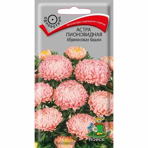 Астра Абрикосовая башня Поиск артикул фото 1 Астра Абрикосовая башня Поиск изображение 1 артикул 97863