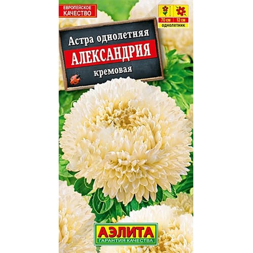 Астра Александрия кремовая Аэлита изображение 1 артикул 40269