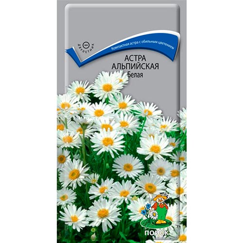 Астра альпийская Белая Поиск изображение 1 артикул 92866