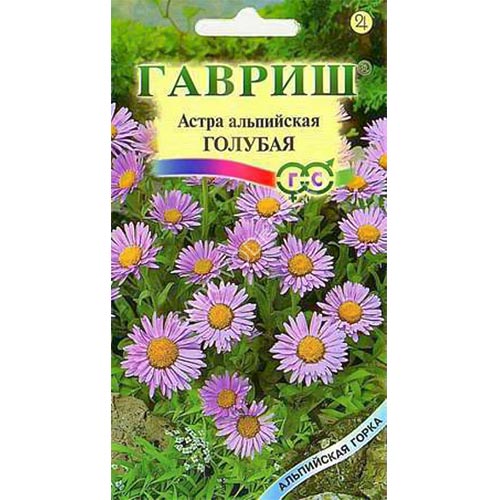Астра альпийская Голубая Гавриш изображение 1 артикул 91910