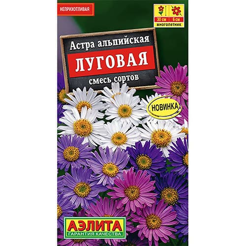 Астра альпийская Луговая, смесь окрасок Аэлита изображение 1 артикул 98823