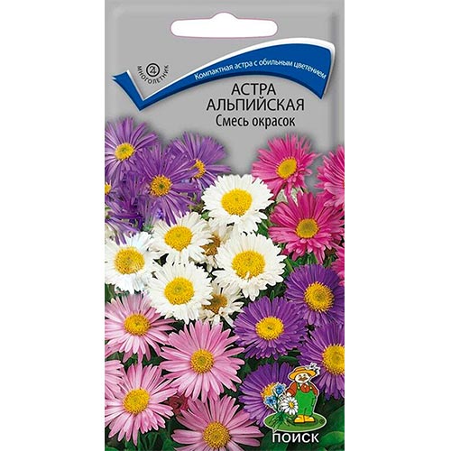 Астра альпийская, смесь окрасок Поиск изображение 1 артикул 92868