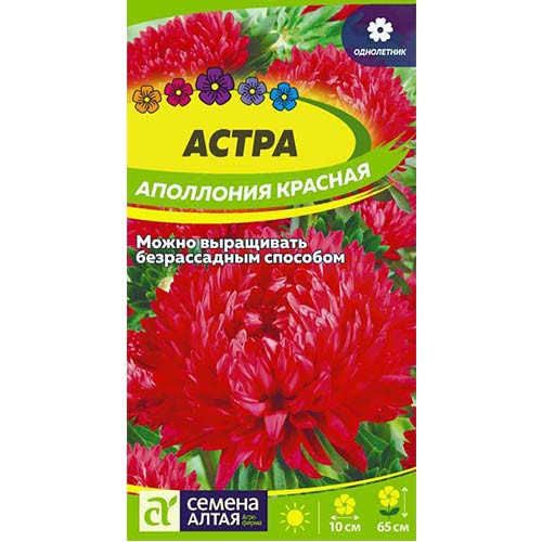 Астра Аполлония красная Семена Алтая артикул фото 1 Астра Аполлония красная Семена Алтая изображение 1 артикул 78107