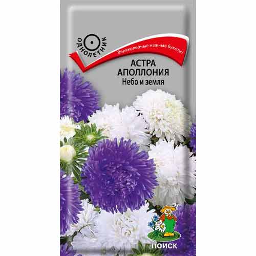 Астра Аполлония Небо и земля Поиск изображение 1 артикул 97862